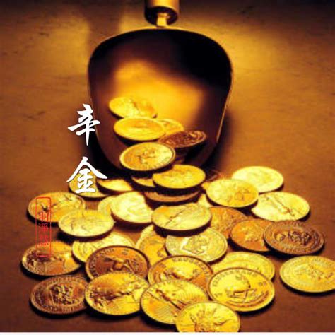 陰金|辛金